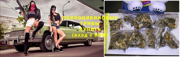 амф Алексеевка